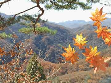 药流药如何购买民生证券：4月车市平稳增长 新势力开启新品周期