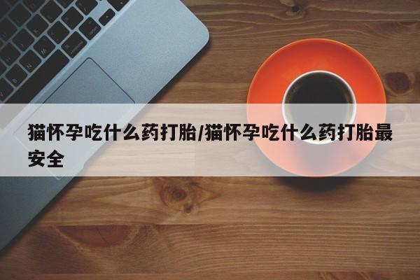 药流药如何购买猫怀孕吃什么药打胎/猫怀孕吃什么药打胎最安全