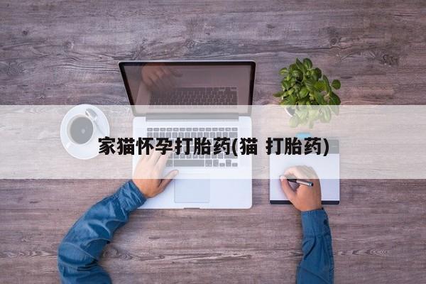 药流药如何购买家猫怀孕打胎药(猫 打胎药)